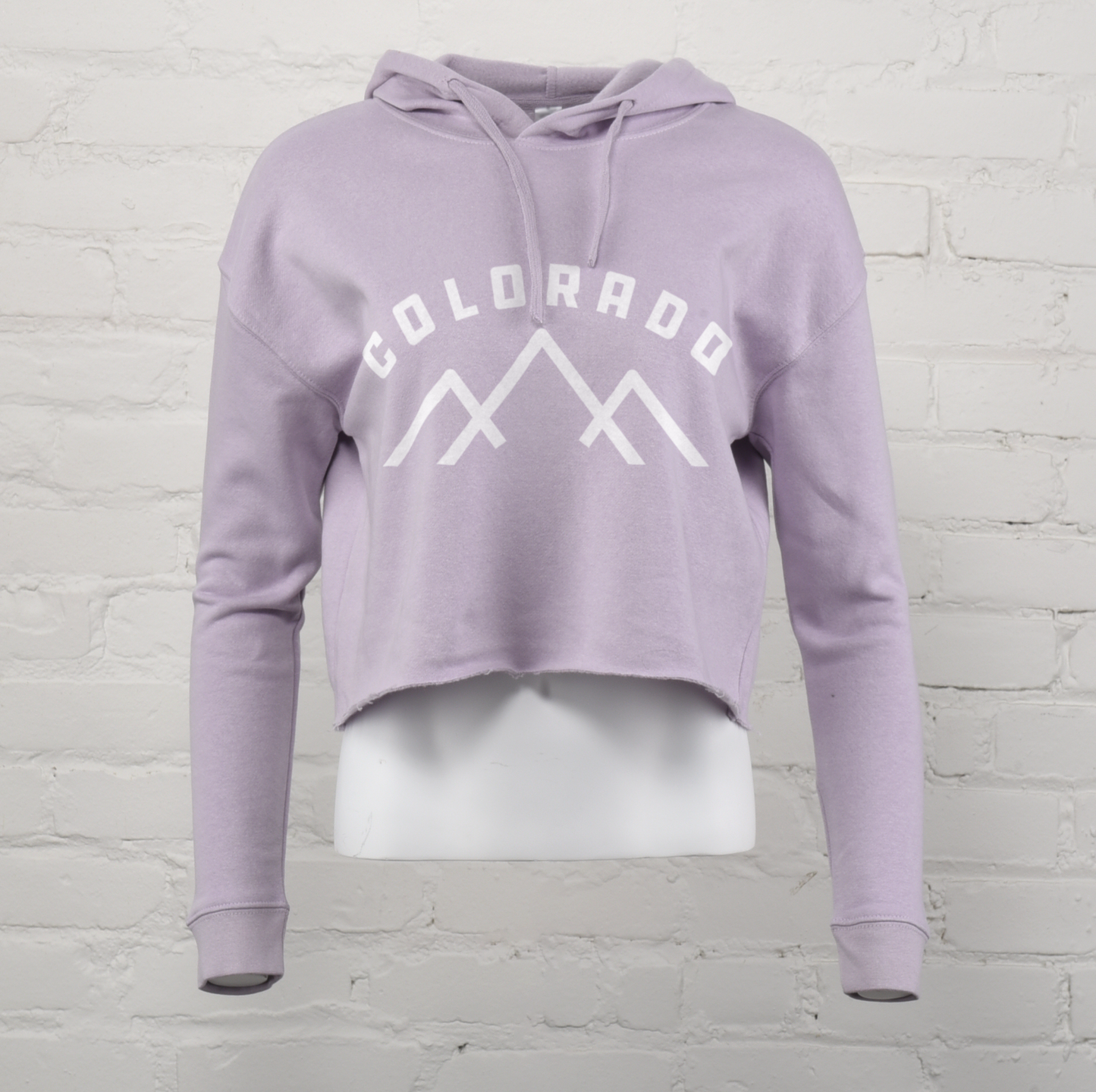 Colorado Mts Crop Hoodie