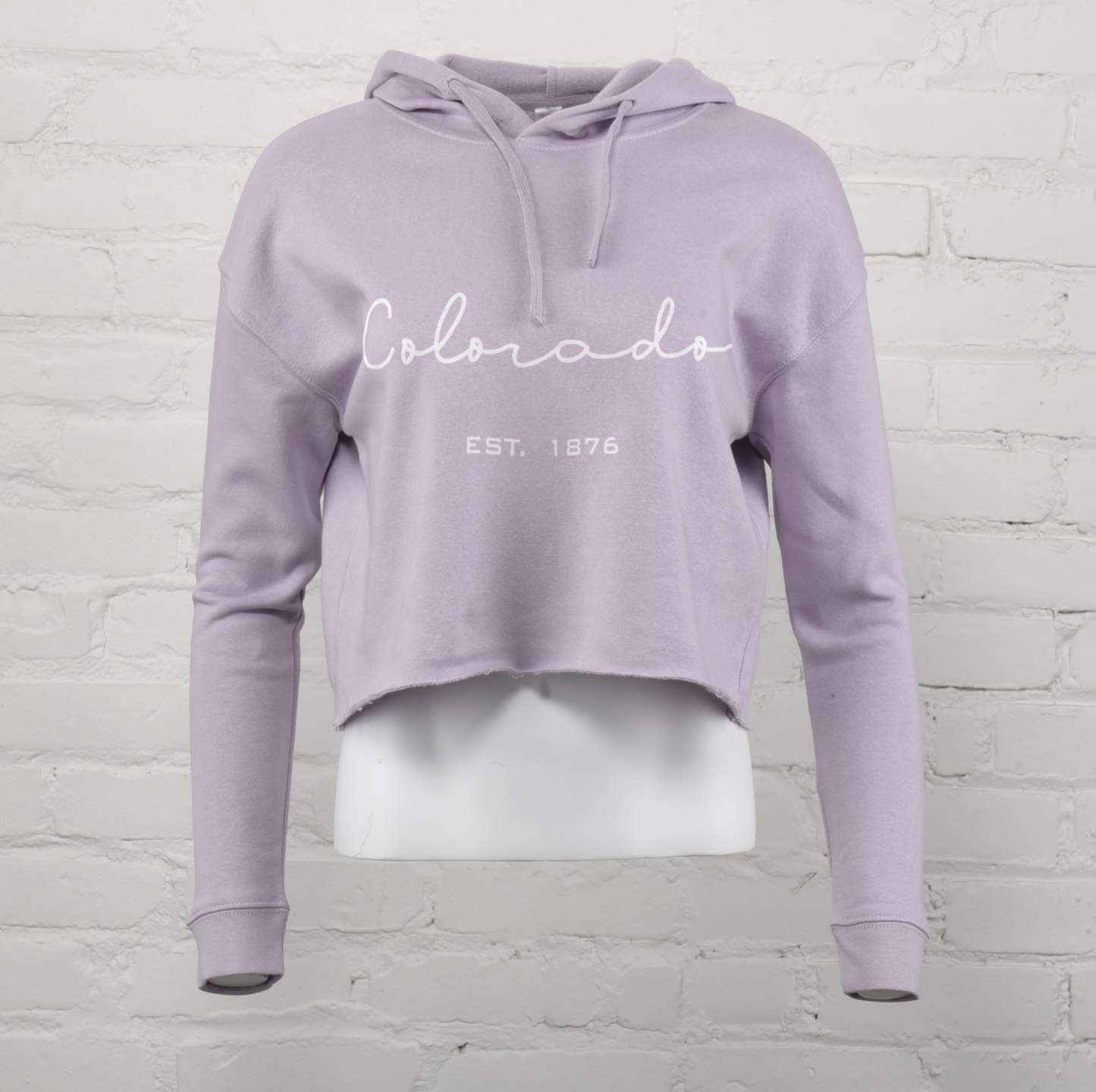 Colorado Dunes Crop Hoodie