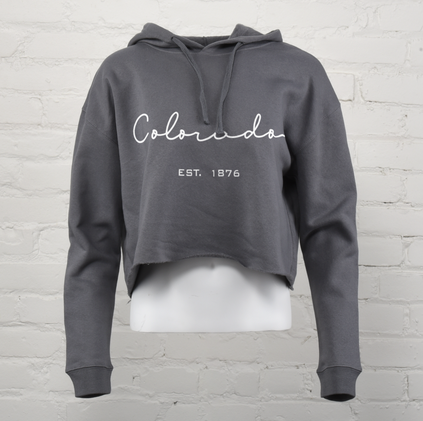 Colorado Dunes Crop Hoodie