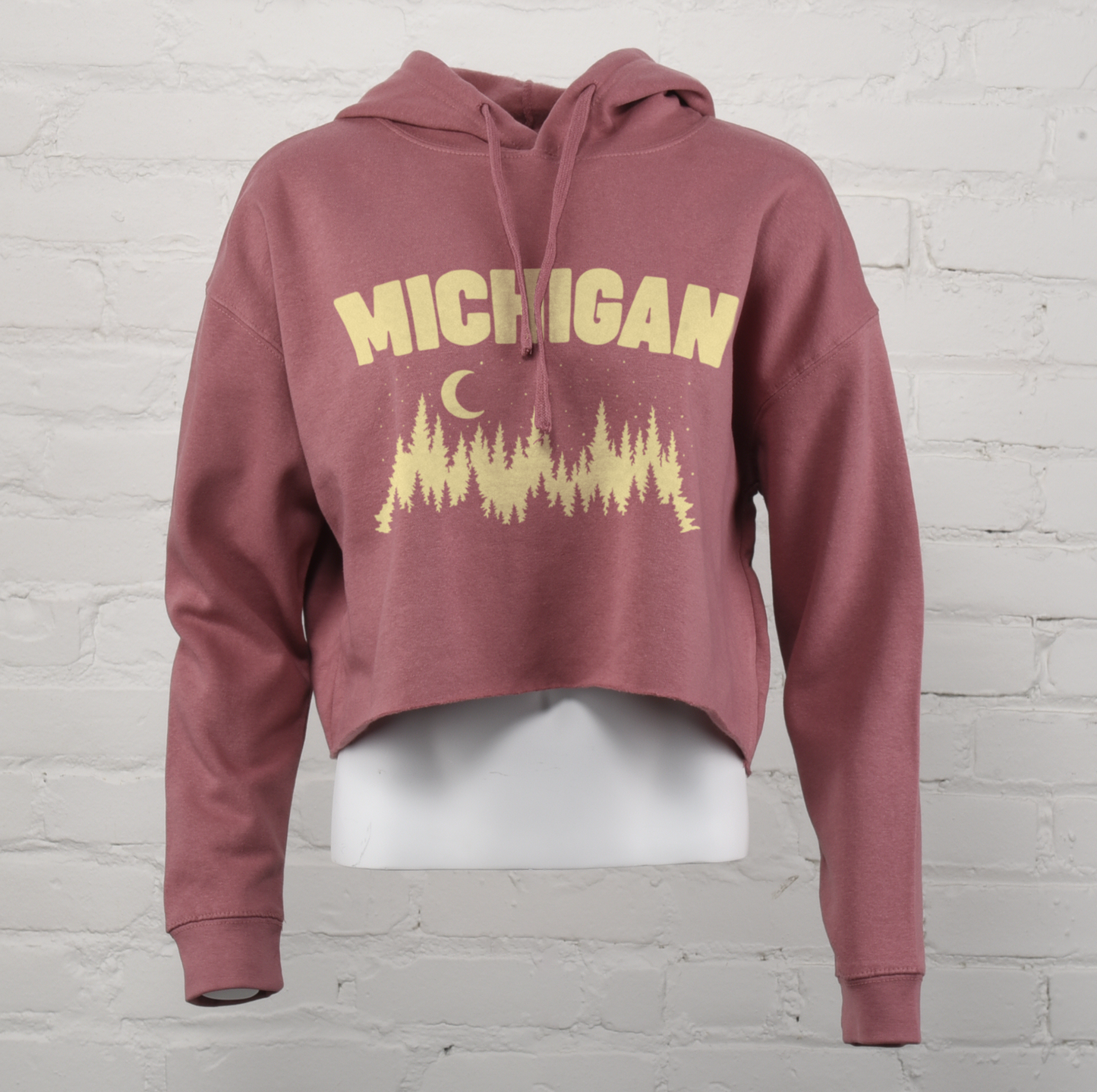 Michigan Treeline Crop Hoodie