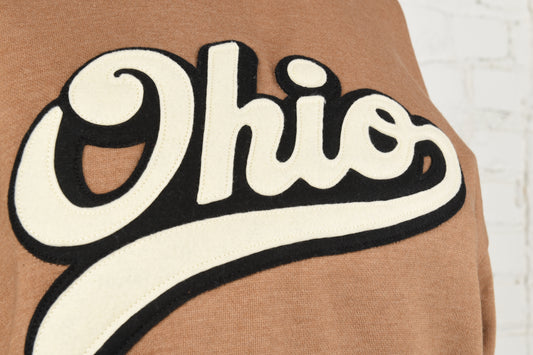 Ohio Script Felt Embroidery Hoodie