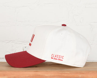 Illinois Chi Town Two Tone Snapback